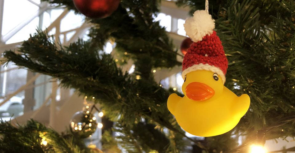 Season greetings from Scan Dimension - the SOL test duck